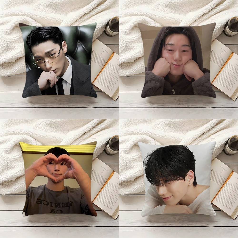 Home Textiles Inc - C-Choi S-San Pillow Cover Sofa Cushion