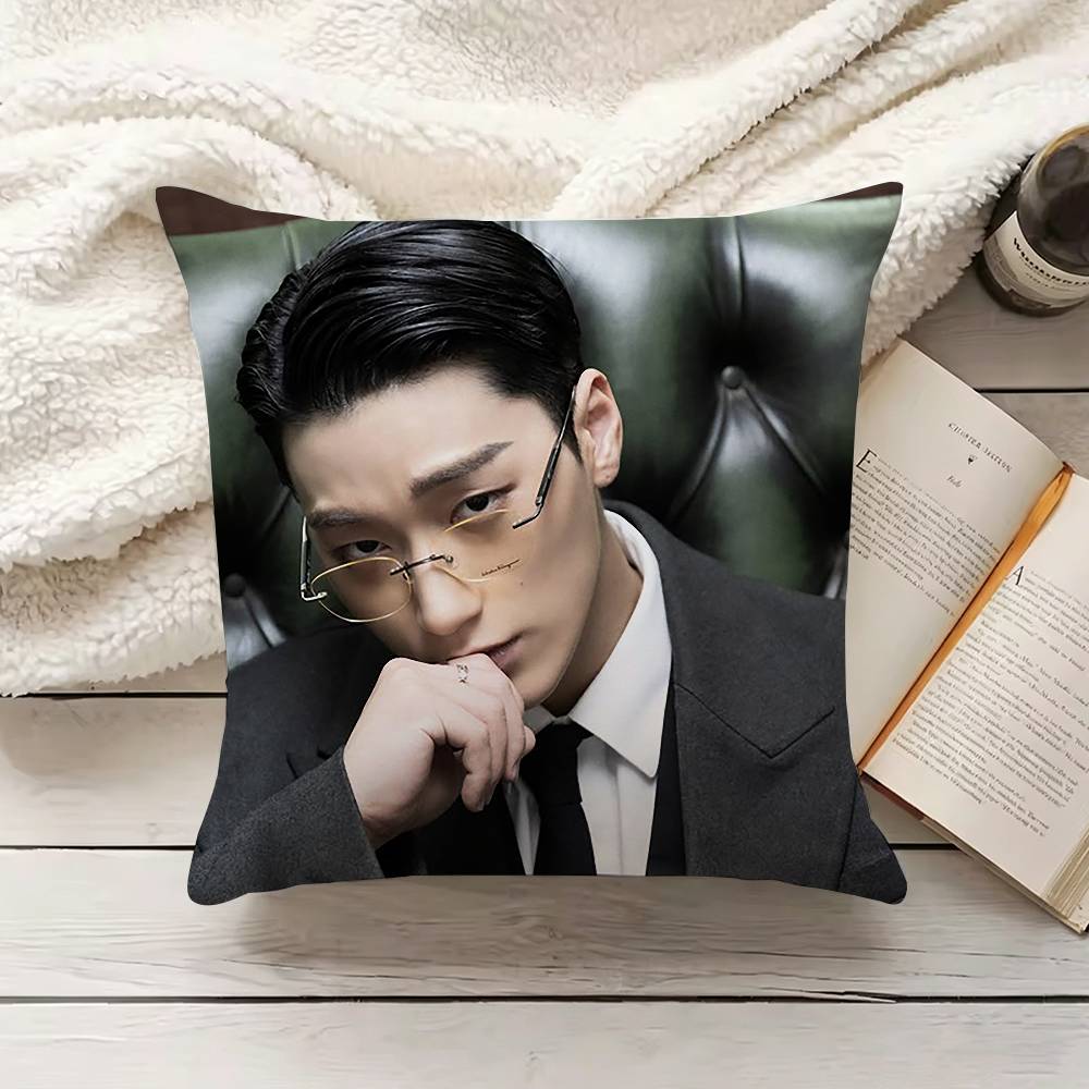 C-Choi S-San Pillow Cover Sofa - đánh giá và giá Home Textiles Inc